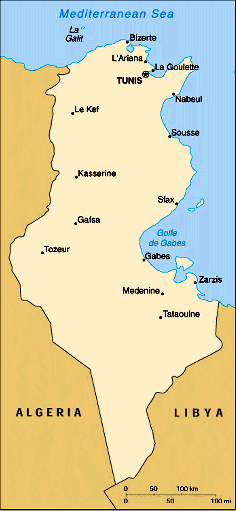 Mapka Tunezji (107k)